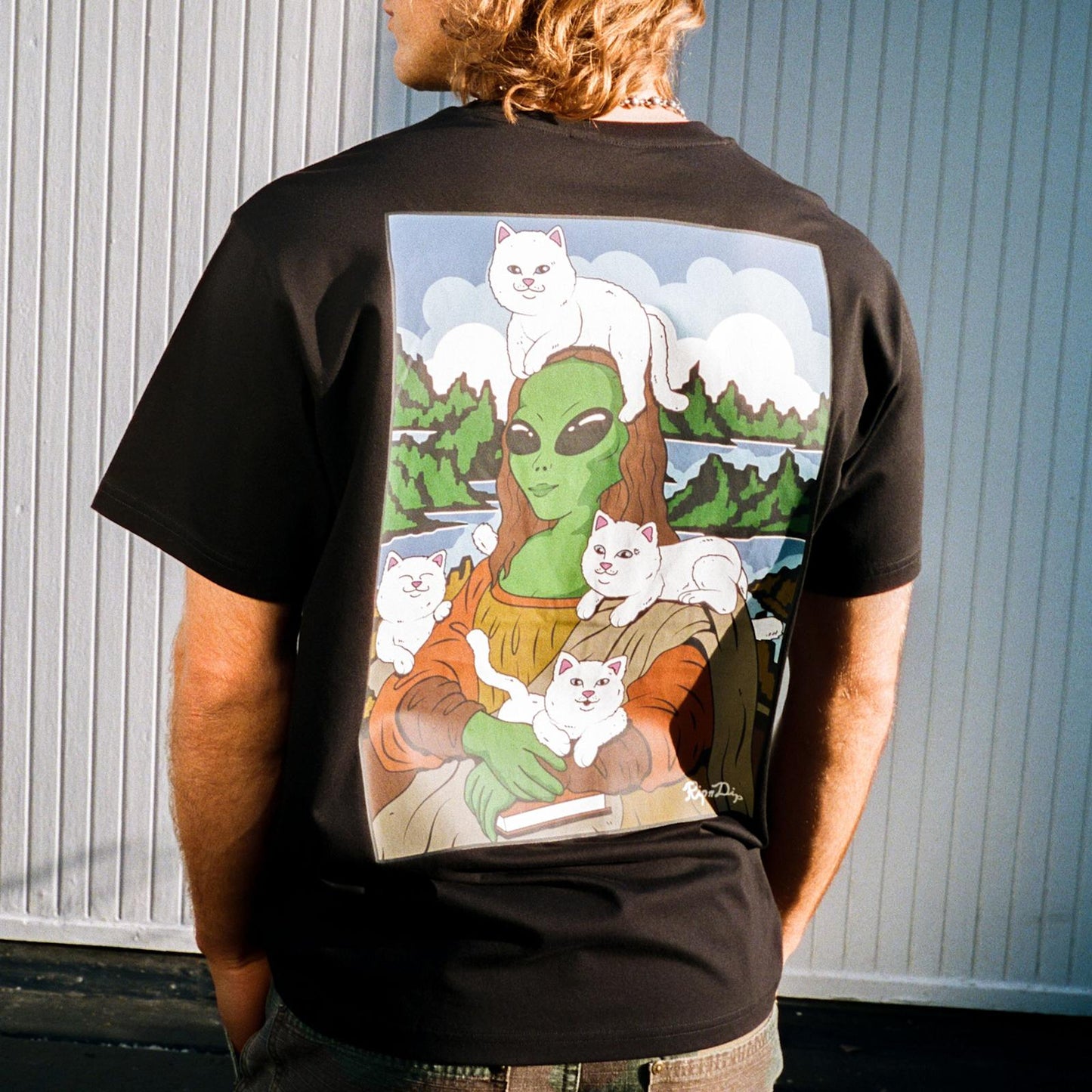 NEW Everyday Casual Crew Neck Short Sleeve Tee