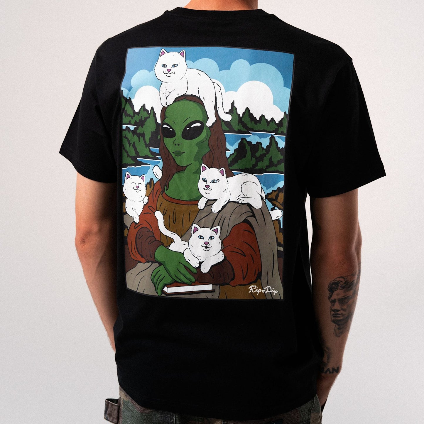 NEW Everyday Casual Crew Neck Short Sleeve Tee