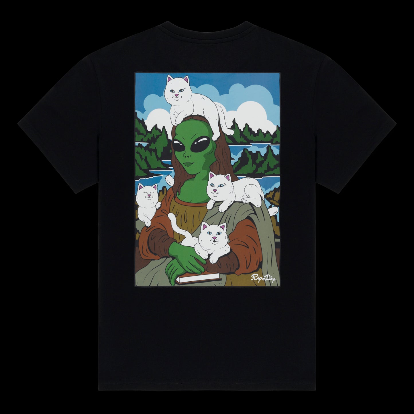 NEW Everyday Casual Crew Neck Short Sleeve Tee
